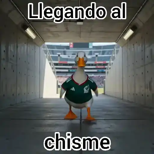 Merlin Pato del mundial 🦆⚽️ 10
