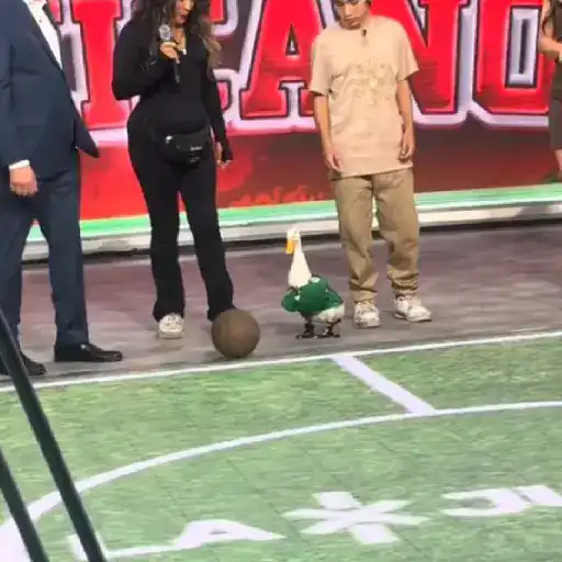 Merlin Pato del mundial 🦆⚽️ 13