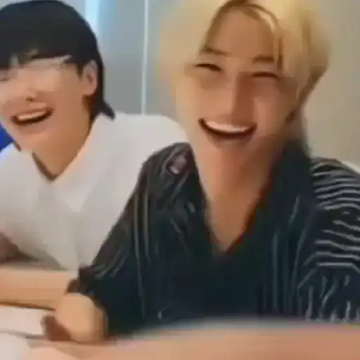 Skz stray kids (3) .mkv 11