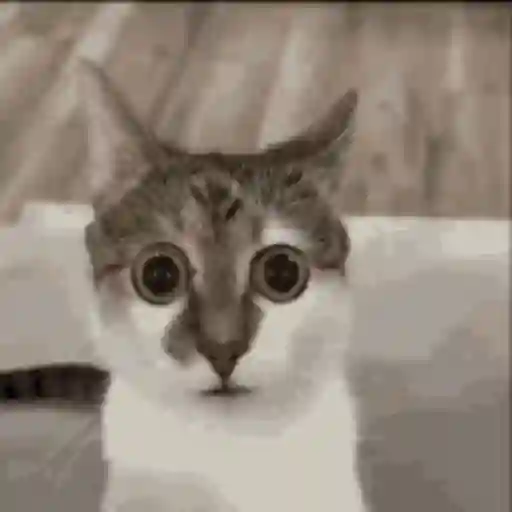 Gifs foda 5