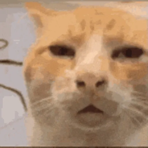 Gifs foda 6