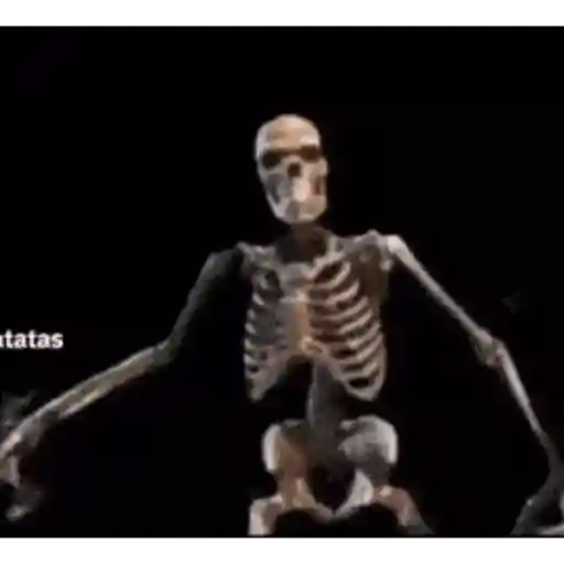 Gifs foda 10