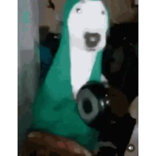 Gifs foda 13
