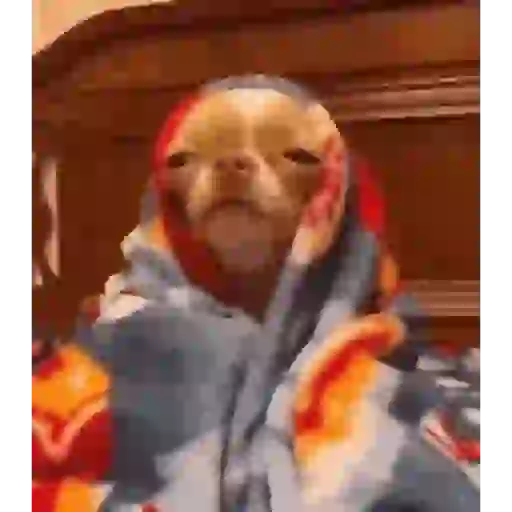 Gifs foda 15