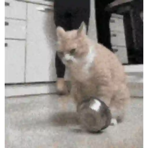 Gifs foda 12