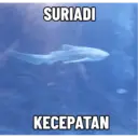 Temen 3