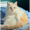 Wkwk 28