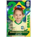 Minhas figurinhas 28