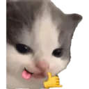 Jsjs 15