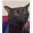 Memes divertidos😝😝 6