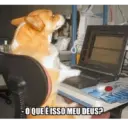 Memes divertidos😝😝 8