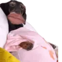 Memes divertidos😝😝 10