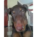 Memes divertidos😝😝 11