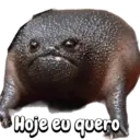 Memes divertidos😝😝 15