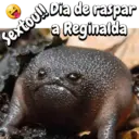 Memes divertidos😝😝 16