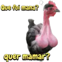 Memes divertidos😝😝 17