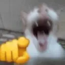 Reactions 14