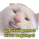 Memes do zap  9