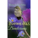 Buenos dias con colibries 4