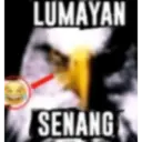 LUMAYAN SENANG