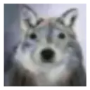 Shitposting random 16