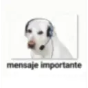 Shitposting random 24