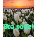 Boa noite Flores 8
