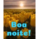 Boa noite Flores 10