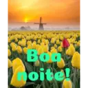 Boa noite Flores 12