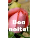 Boa noite Flores 14