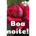 Boa noite Flores 24