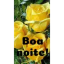 Boa noite Flores 27
