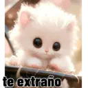 Ternuras 😊 5