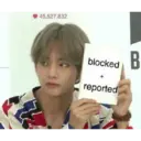 BTS Y ARMY 14