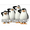 Pinguin 9