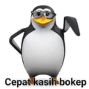 Pinguin 23