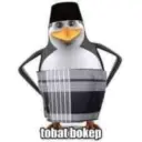 Pinguin 26