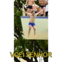 Minhas figurinhas 11