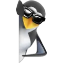 Pingüino Boss 🐧🕶 13