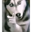 2025 trend gifs 17