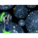 2025 trend gifs 25