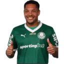 Palmeiras 2025 1