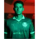 Palmeiras 2025 5