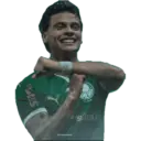 Palmeiras 2025 6