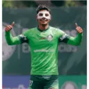 Palmeiras 2025 8