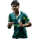 Palmeiras 2025 9