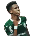 Palmeiras 2025 10