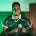 Palmeiras 2025 11
