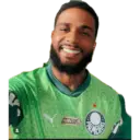 Palmeiras 2025 13