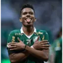 Palmeiras 2025 16